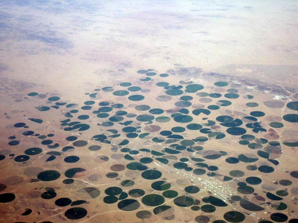 Near Gassim, Saudi Arabia