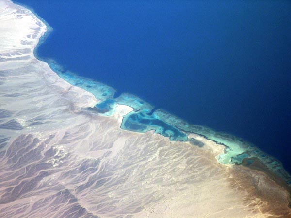 Gulf of Aqaba coast of Sinai