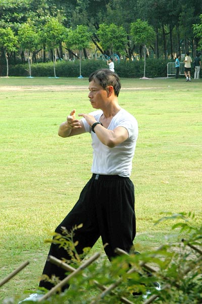 Morning Tai Chi in Victoria Park
