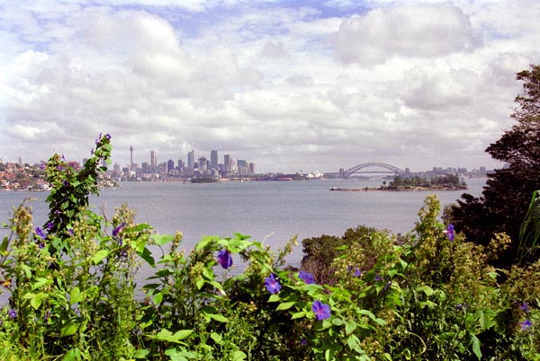 Sydney seen from the Outer Eastern Suburbs
