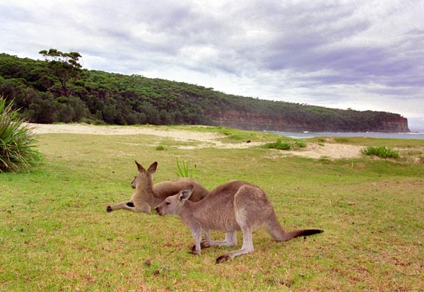 Murramarang National Park