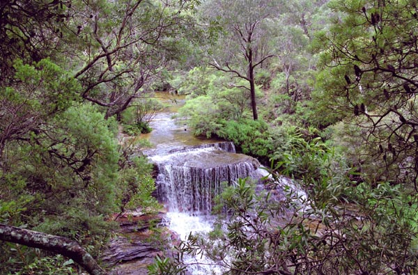 Valley of the Waters, Blue Mountains