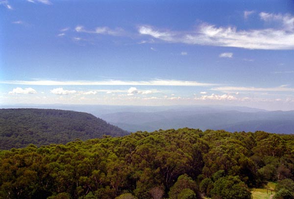 Dandenong Ranges National Park from Mount Dandenong