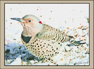 woodpecker feeding two sketch.jpg