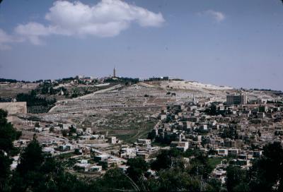 Mount of Olives from Near Mt/ Zion