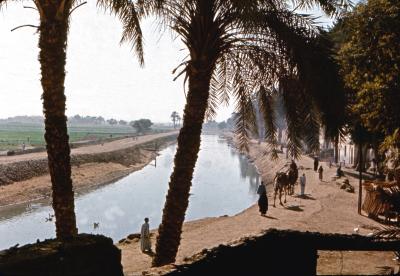Village on A Main Canal