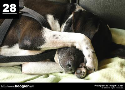 u40/boogier/medium/39334433.DSC_0683.jpg