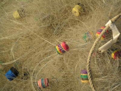 tangled net