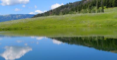 Reflection-in-Trout-Lake.jpg