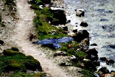 NEPAL-0061