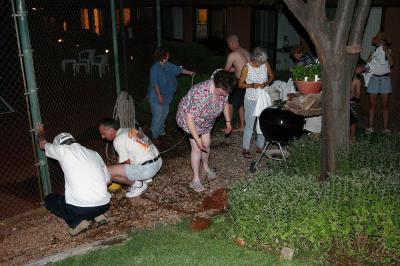 IMG_6331.jpg