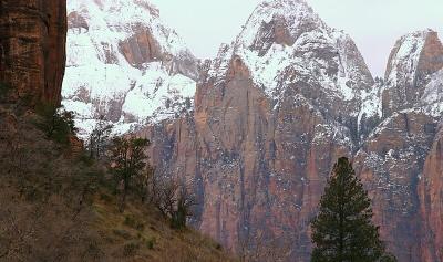 Winter in Zion Canyon
