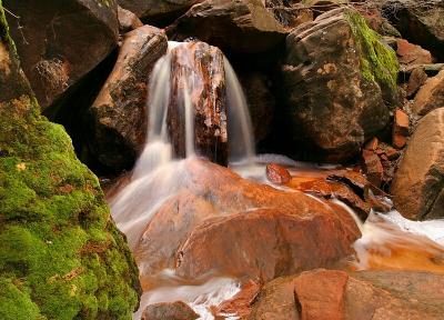 Falls and Moss, Zion Canyon