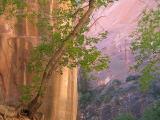 Cool Evening, Zion Narrows