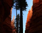 In Wall Street.  Bryce Canyon