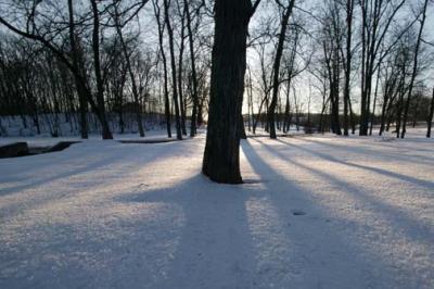 Community Park