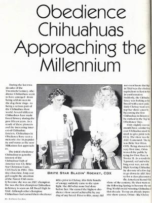 Chihuahua History In the Obedience Ring