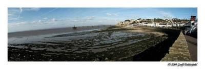 Clevedon panorama