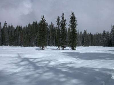 Meadow, On our way to Dewey Pt