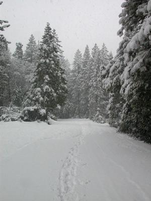 It was snowing a lot here.