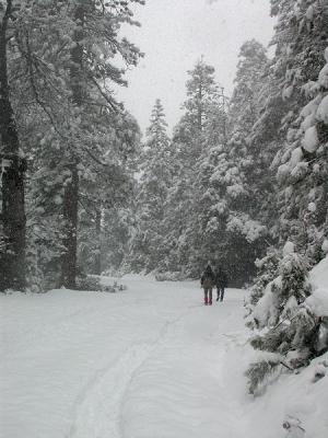 Back down the hill with Ann and Bill