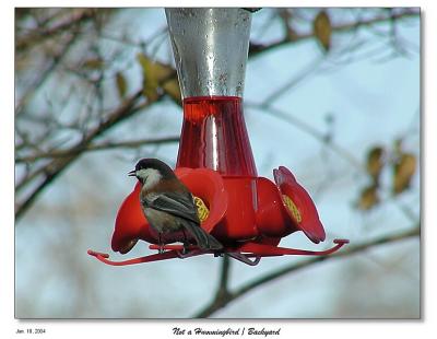 Not a Hummer