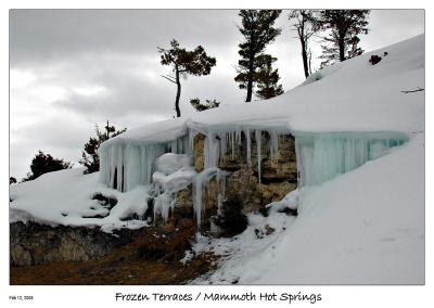 Frozen Terrace