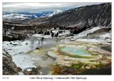 New Blue Spring at Mammoth Hot Springs