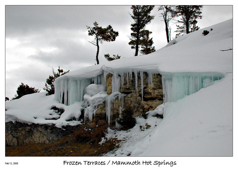 Frozen Terrace