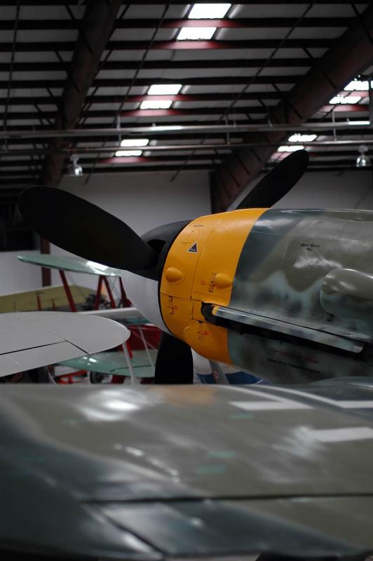 DSC_2601.jpg