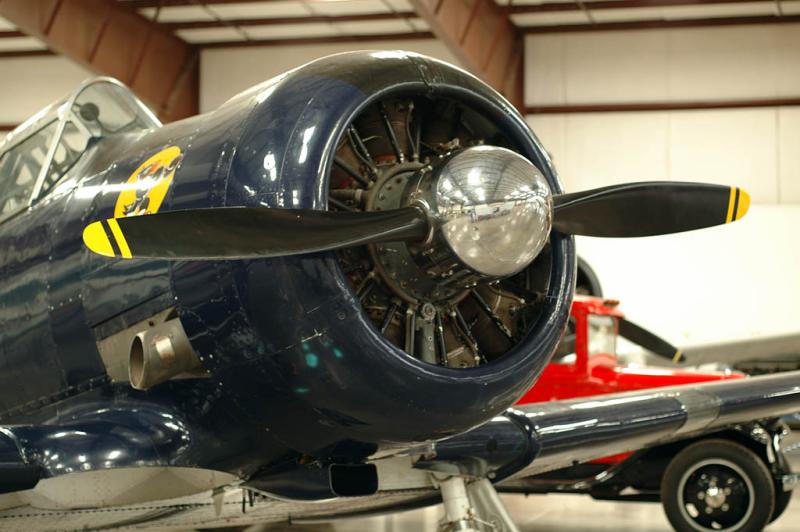DSC_2606.jpg
