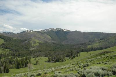 DSC_3469.jpg