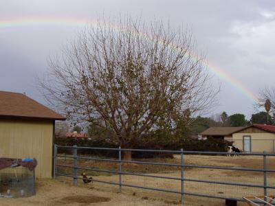 jan3 2004 rainbowy weather