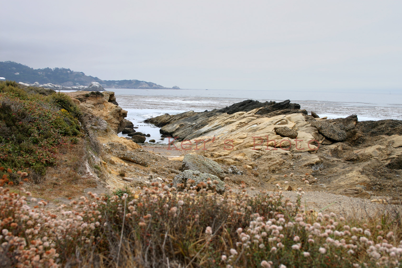 Coast Protected.jpg