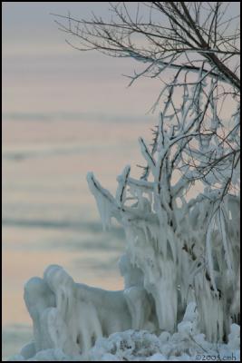 Ice Formation 2341.jpg