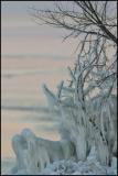 Ice Formation 2341.jpg