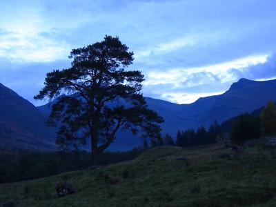 Lone Pine Glen Nevis dusk