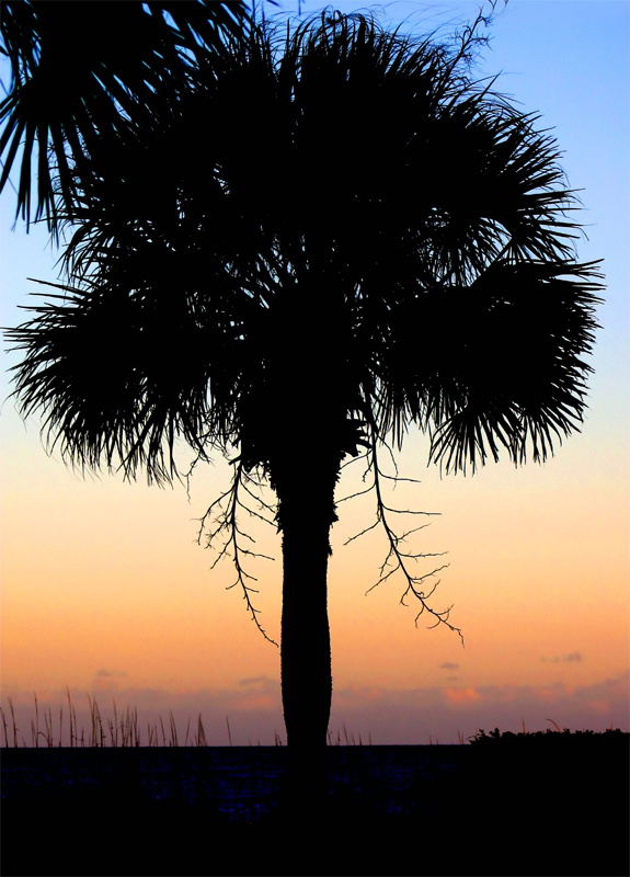 Carolina Sunset