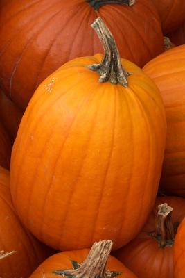 Pumpkins at Tuttles