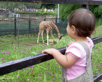 3 July 2003 national zoo