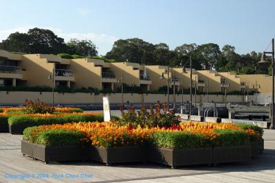 Woolloomooloo Bay 03