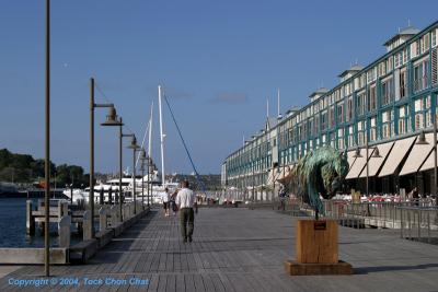 Woolloomooloo Bay 04