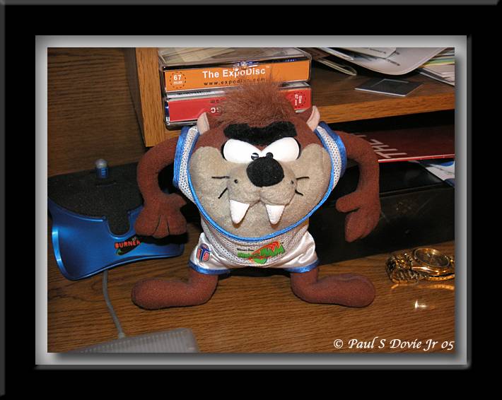 Feb. 24th, 2005
