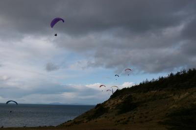 IMG_1530.JPG