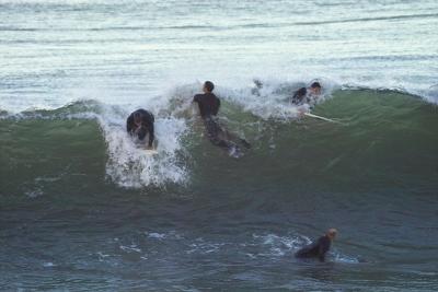 IMG25761.jpg