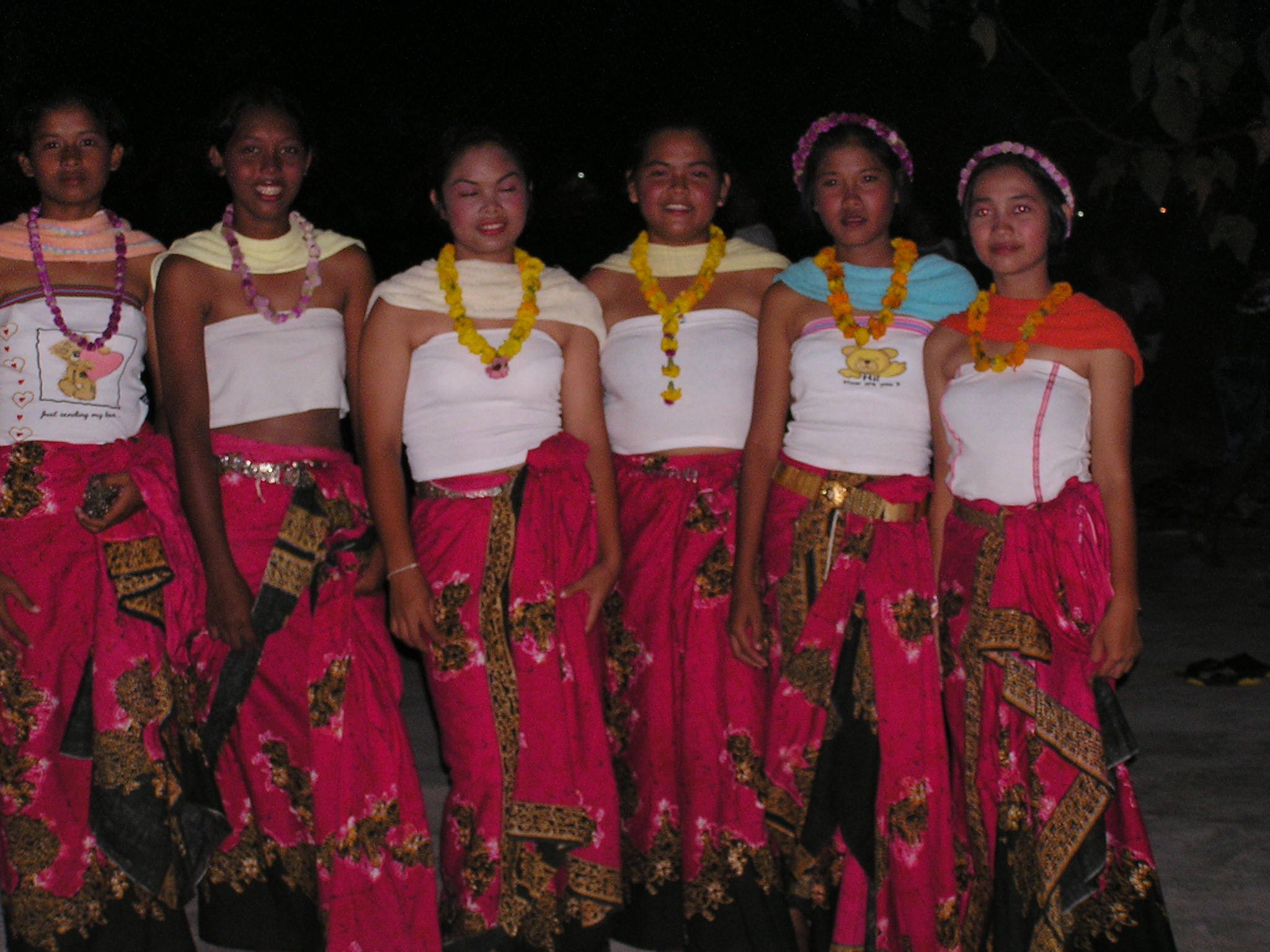 these ladies performed a beautiful dance