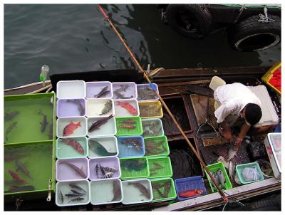 Seafood Seller I