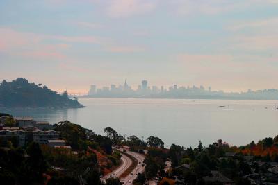 View from Tiburon