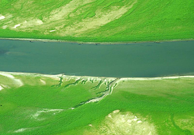 Grass and river