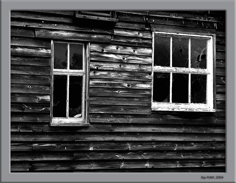 February 24 2004:<br> Texture in Wood